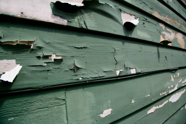 Best Storm Damage Siding Repair  in West Chicago, IL