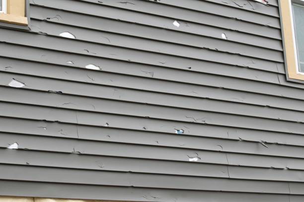 Best Fiber Cement Siding Installation  in West Chicago, IL